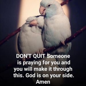 Meet your Posher, Nour